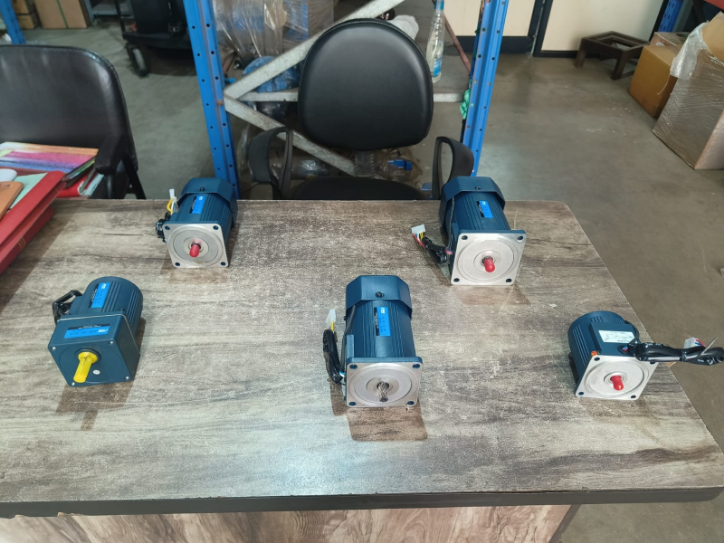 Mini Motor